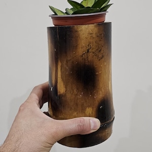 May include: A small green plant in a red plastic pot sits on top of a brown bamboo planter. The planter has a burnt look and is held in a person's hand.