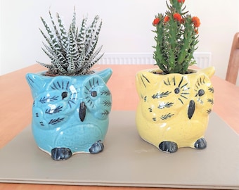 Niedliche Baby Eule Kinder Indoor Keramik Blumentopf | Erhältlich in Blau und Gelb | 10 cm Höhe | Sukkulenten Kaktus Pflanzgefäße | Rusticbazar.com