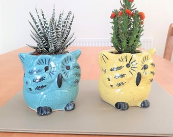 Cute Baby Owl Kids Indoor Ceramic Planter pot | Blue and Yellow  colours l 4&quot; height | Succulent Cactus Planters | 30th Birthday Gift Idea