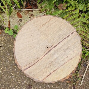 Puede incluir: Una rodaja de madera redonda con un patr&oacute;n de veta de madera natural y un peque&ntilde;o agujero en el centro. La rodaja est&aacute; sentada sobre una superficie de grava.