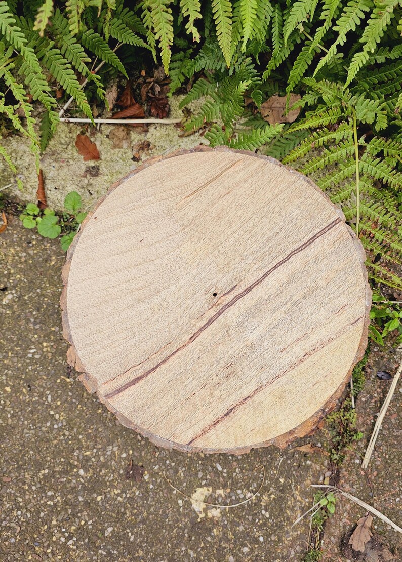 Puede incluir: Una rodaja de madera redonda con un patr&oacute;n de veta de madera natural y un peque&ntilde;o agujero en el centro. La rodaja est&aacute; sentada sobre una superficie de grava.