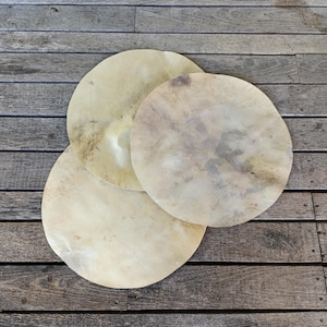 Può includere: Tre fogli circolari, traslucidi e color bianco sporco con motivi organici maculati in marrone e grigio. Questi elementi sottili, piatti e a forma di disco presentano bordi irregolari e un aspetto liscio e semitrasparente.