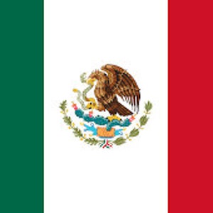 Mexico Flag Add-on
