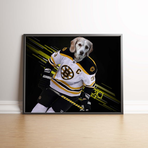 Boston Bruins NHL Dog Jersey