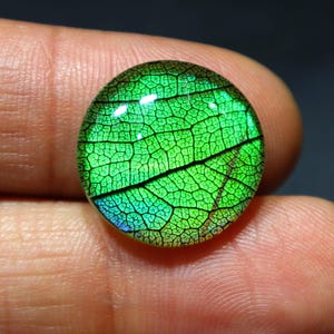May include: A round, green gemstone with a detailed leaf pattern. The gem's surface displays a network of veins and textures, with a gradient of colors from bright green to darker shades. The gem is held between fingers.