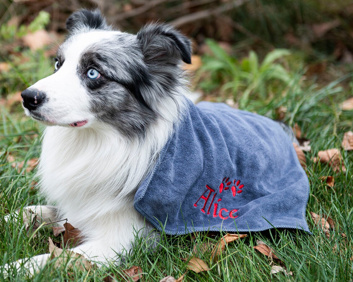 Personalized Dog Bath Towel with Big Paw Design Embroidered Etsy