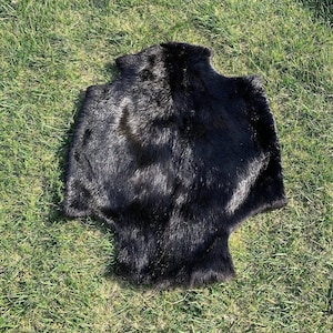 本物のビーバーの毛皮、黒色の毛皮、農場のビーバー、高級動物の毛皮、3XL サイズの天然なめしビーバー革、高品質で柔らかく光沢のある毛皮。