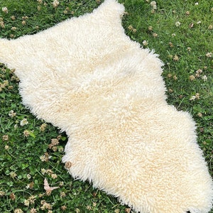 Champagner Farbe Schaffell, Lockiges Schaffell, Bereich Teppich, Natürliches Schaffell, Wirf Fell, Echte Schafwolle, Merino Schaffell, Weiches Schaffell