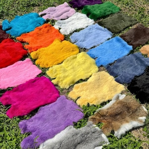 24 diversi colori di pelliccia di coniglio, varie pellicce di coniglio, pellicce colorate, pelliccia di coniglio di colore naturale, pelliccia di coniglio sfusa, pelliccia di tessuto, pelliccia genuina