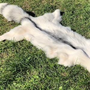 Pelliccia di VOLPE IN MARMO ARTICO Pelliccia rituale pagana Pelle di volpe del Polo Nord Pelliccia di animale selvatico per sacramento rituale Pelle di volpe per altari Rara pelle di volpe bianca
