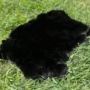 Pelliccia di coniglio Rex nero scuro, pelliccia di rex di grandi dimensioni, pelliccia di coniglio morbida, pelliccia di coniglio inodore per cerimonie pagane, pelliccia nera, pelliccia soffice inodore, pelliccia da lancio