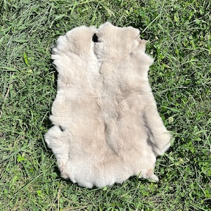 ベージュのウサギの毛皮、高品質の毛皮、本物のウサギ、3XL の毛皮、ウサギの毛皮、ウサギの皮、レックスの毛皮、毛皮、革、動物の毛皮