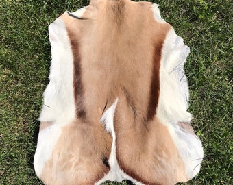 希少　毛皮(スプリングボック)の敷物 希少 毛皮(スプリングボック)の敷物