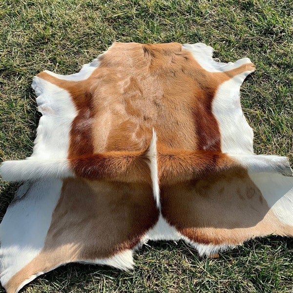 Deer Fur Etsy