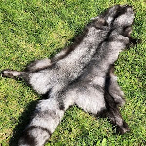 Pelliccia di volpe argentata rara Nascondi colore naturale Pelliccia di volpe con morbidi capelli soffici Nero Grigio Taglia XL Argentina Volpe Pelt Guerriero Mantello Vichingo Barbaro Pagano