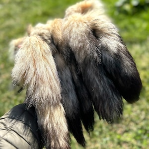 Coyote Tail, Fur Keychain, Real Coyote Fur, Soft Fur Tail, Fur Keychain, Natural Animal Tail, Bag Accessory, Natural Fur, Tail Keychain