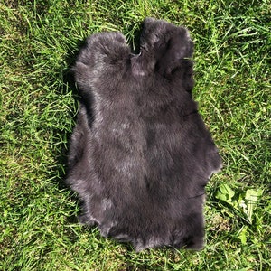 May include: A dark gray rabbit fur pelt, laid out flat on a bed of green grass.