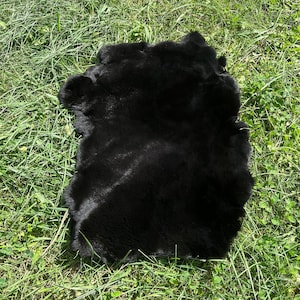 黒ウサギの毛皮 ジャンボサイズ 天然黒ウサギ レックス毛皮 ウサギの毛皮 天然ウサギの毛皮 ダークラビット ブラック毛皮 レックス毛皮
