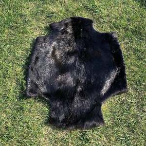 Könnte beinhalten: Ein schwarzer Pelz mit Kreuzform, auf einer grünen Grasfläche ausgelegt.