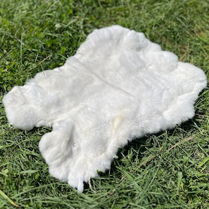 天然の白いウサギの毛皮、XXXL サイズの大きなレックスウサギの毛皮、装飾用の動物の毛皮、デザイン製品用のウサギ革、非常に柔らかく無臭の毛皮。