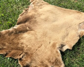 Camel Merino Sheep Pelt Real Genuine Sheep Pelts Soft Merino Fur Suede Leather Back XL Size Flexible Short Wool Sheep Hide Natural Sheepskin
