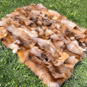 Pelliccia esclusiva di volpe rossa canadese, pelle di volpe canadese rara, pelle di volpe patchwork, pelliccia di volpe naturale accattivante, pellicce da lancio, pelle di volpe patchwork
