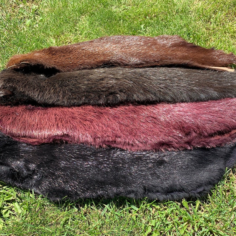 Beaver Pelt Etsy Beaver Pelt Etsy