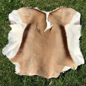 May include: A brown and white animal hide with a distinctive pattern. The hide is laid out on a bed of green grass.