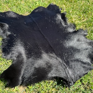 Altares Piel de Capricornio Negro Oscuro Piel de Capricornio Negro Oscuro para tu Rincón Ritual Sacrificio de Capricornio por el Satanismo Piel Diablo Objeto de Magia Negra