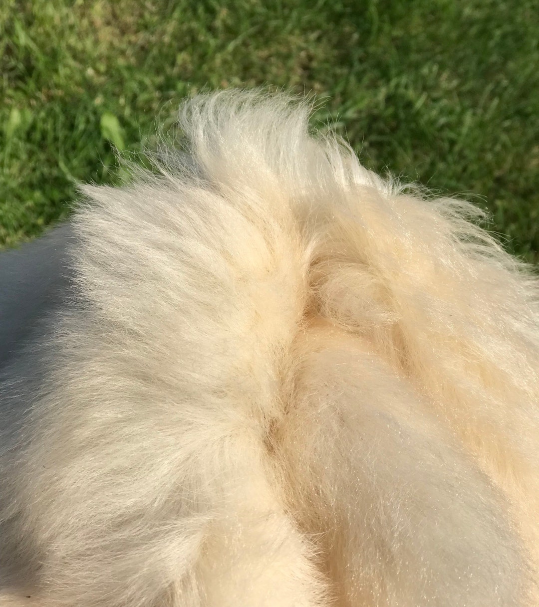 Natural Color Sheepskin Fluffy and Soft Sheepskin Long Etsy