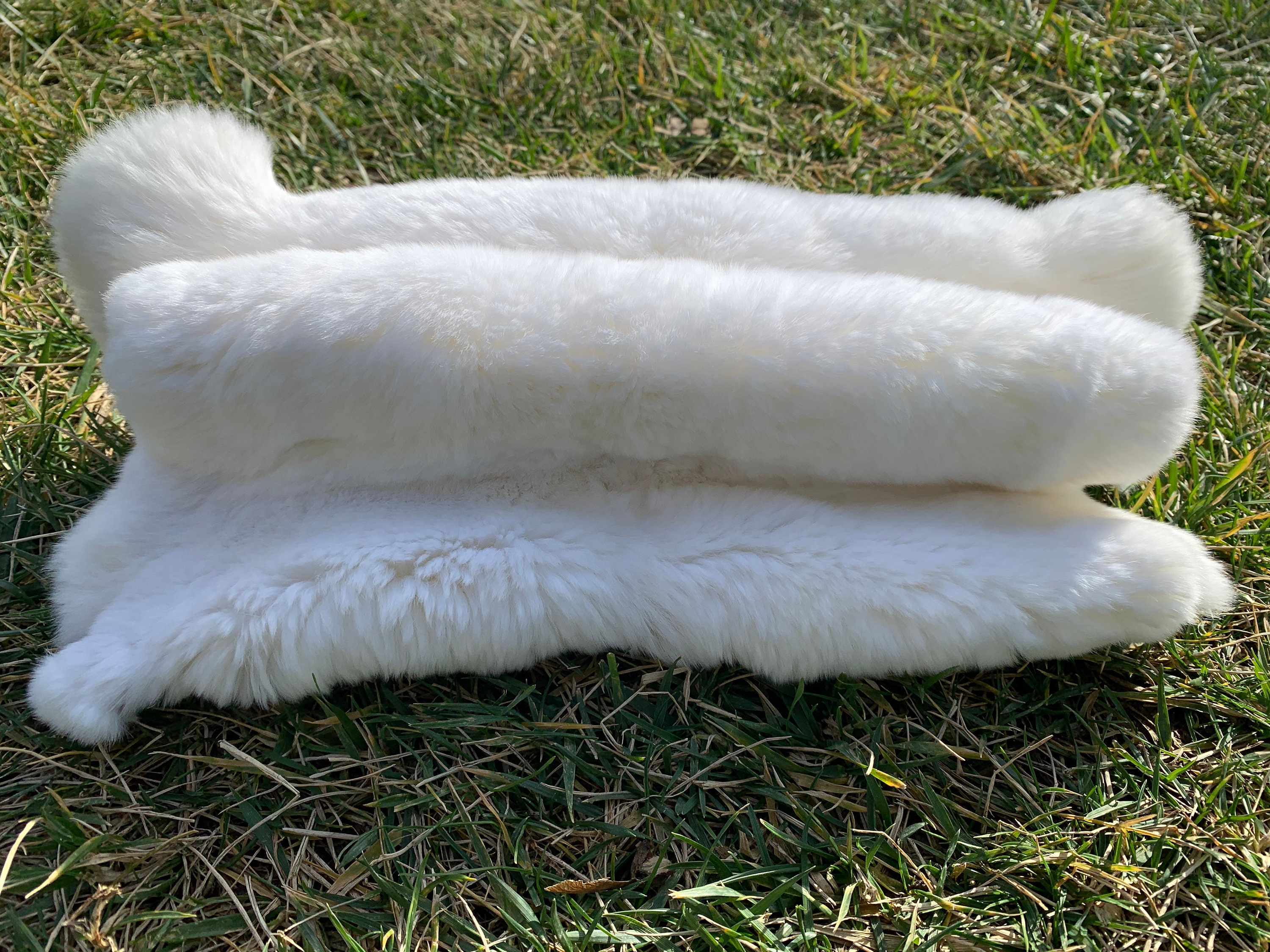 Piel de conejo blanco natural piel de conejo Rex de gran Etsy