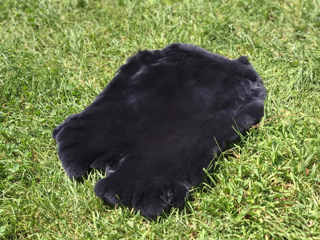 Awesome Navy Blue Rex Rabbit Fur, Genuine Fur, Rabbit Fur, Soft and ...