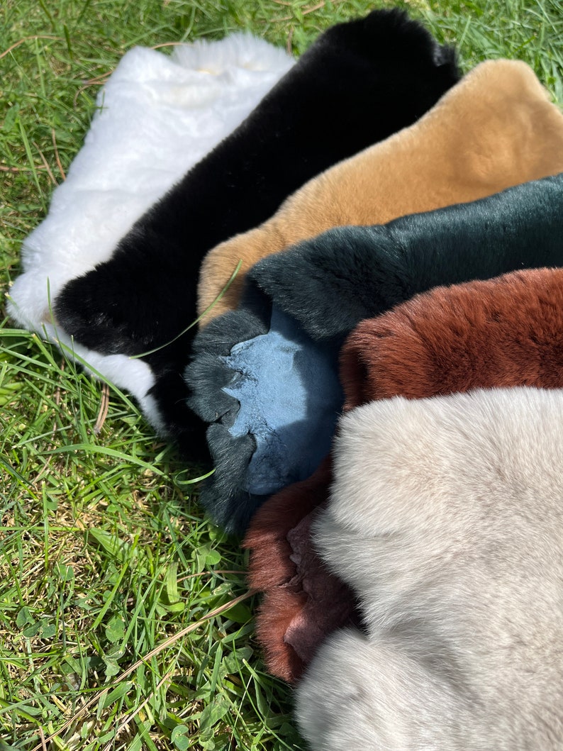 Rex Rabbit Fur 6 Different Real Natural Colors Soft-glossy-odorless ...