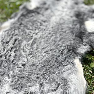 本物のスワカラファー、シルバーグレーのスワカラファー、本物のカラクルレザー、カーリーラムスキン、ソフトラムスキンシート、クラフト用ファー、本革