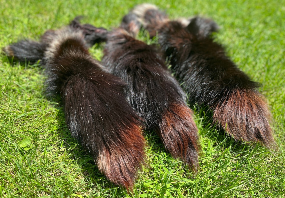 9 Different Color Foxtails Cat Dog Toys Pet Toys Fox Fur Etsy Canada