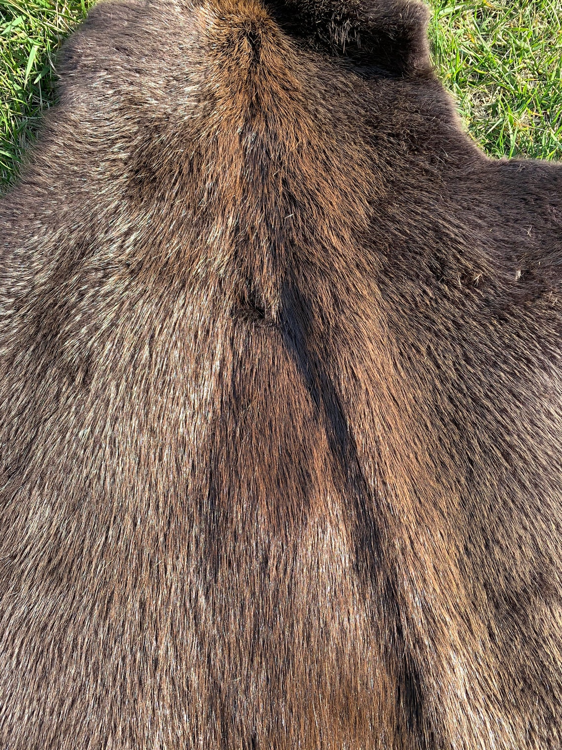 Genuine Beaver Fur 1st Quality Beaver Fur A Quality Tanned Etsy Genuine Beaver Fur 1st Quality Beaver Fur A Quality Tanned Etsy