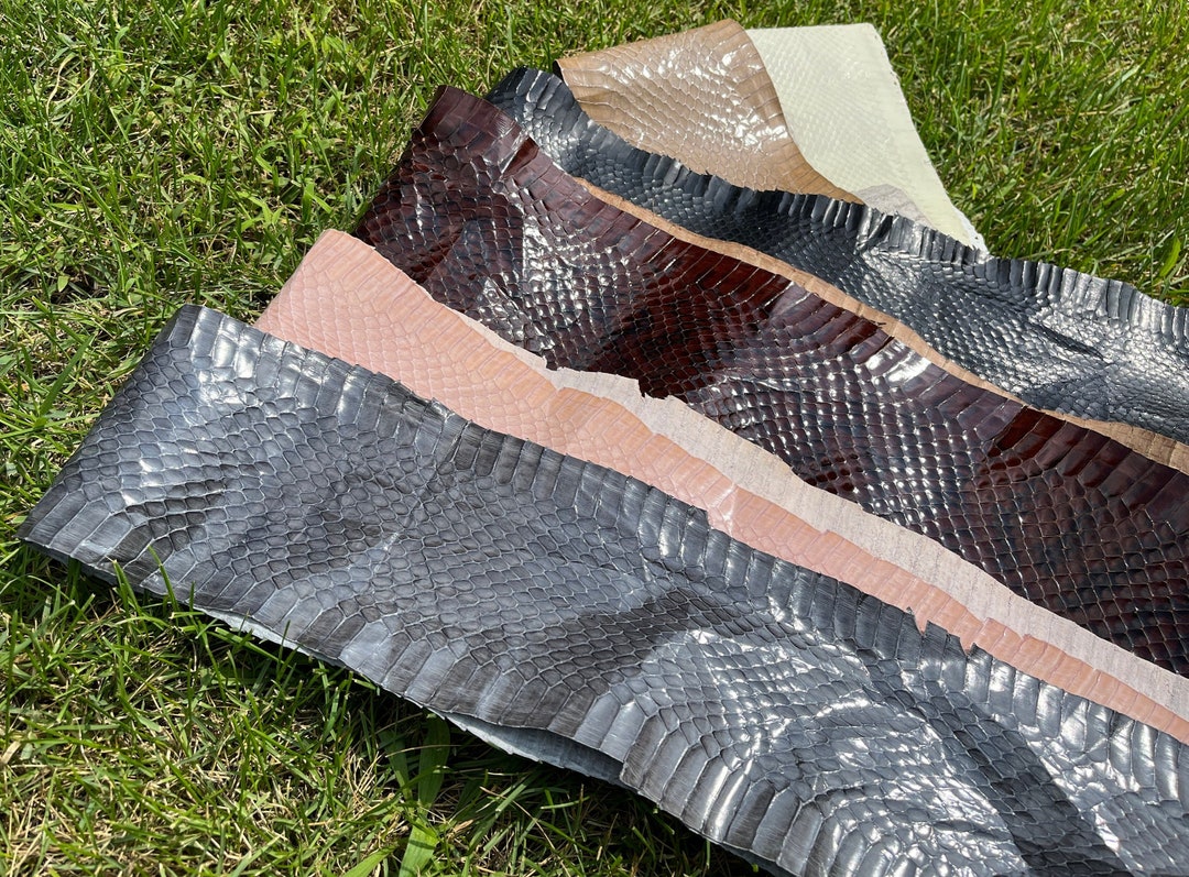 Various Exotic Snakeskin, 6 Different Color Options, Real Natural