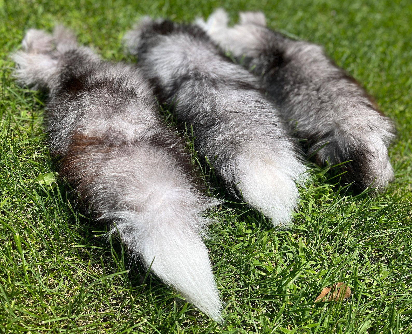 9 Different Color Foxtails Cat Dog Toys Pet Toys Fox Fur Etsy