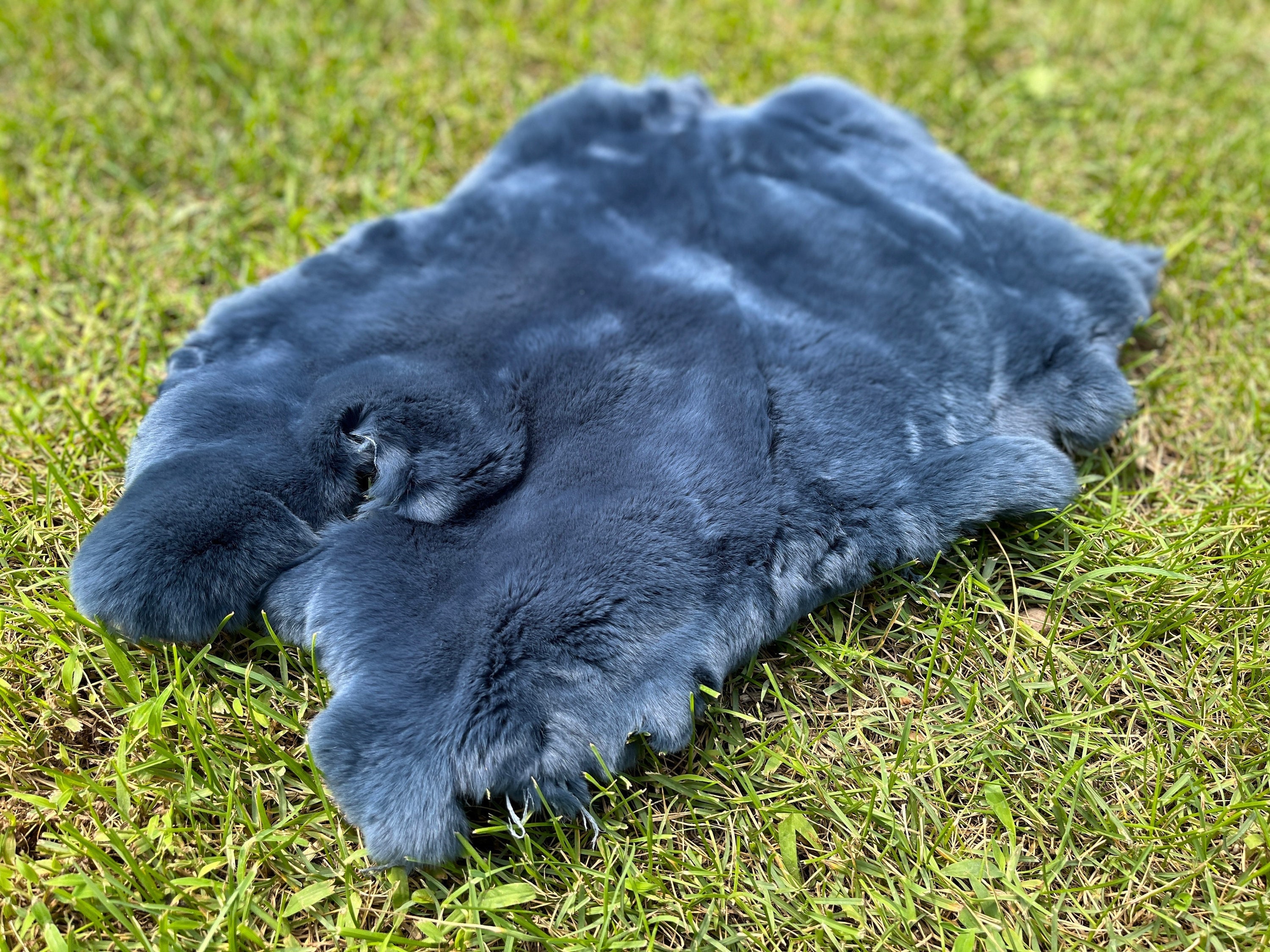 Amazon.com: Natural Tanned Rabbit Hide Skin (10