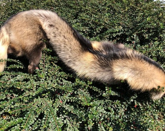 Genuine Finland Raccoon Large Size Hunting Animal Pelt