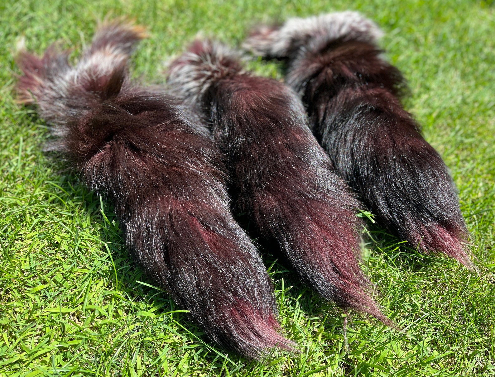 9 Different Color Foxtails Cat Dog Toys Pet Toys Fox Fur Etsy