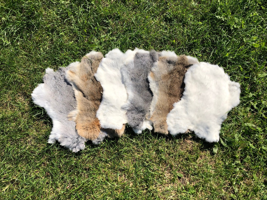 Bulk Rabbit Hide, 3-5-7 Pieces Rabbit Hide, Genuine Rabbit Fur, Soft ...