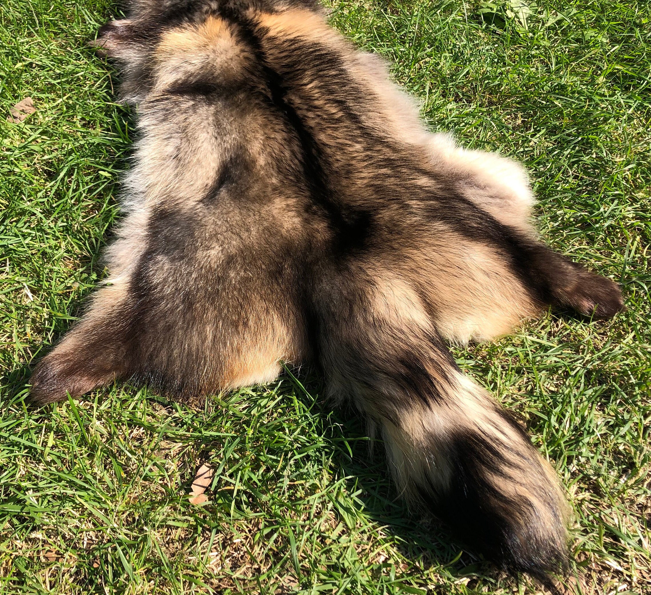 Canada finland raccoon muffle／品番Ｂ／GAKE❣️ il_fullxfull.3461587825_mvn4.jpg