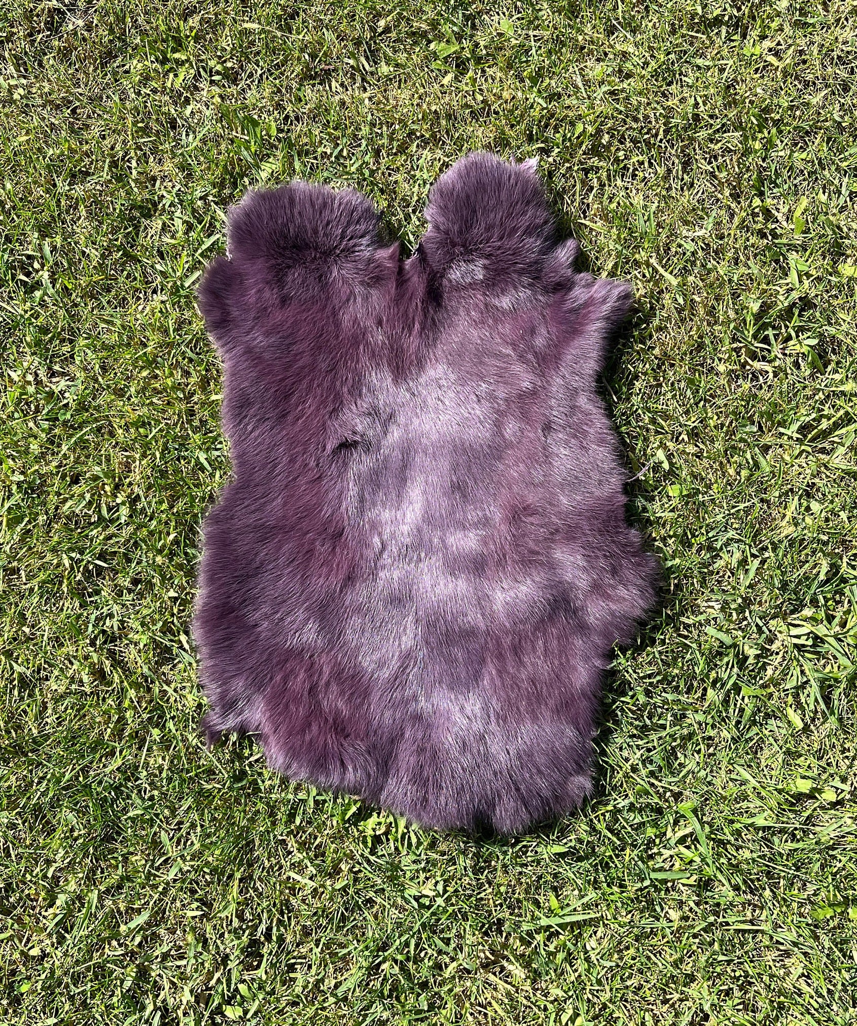 Peruple Rabbit Purple Rabbit Hide Genuine Fur Soft Fluffy Fur Rabbit Pelt - Etsy