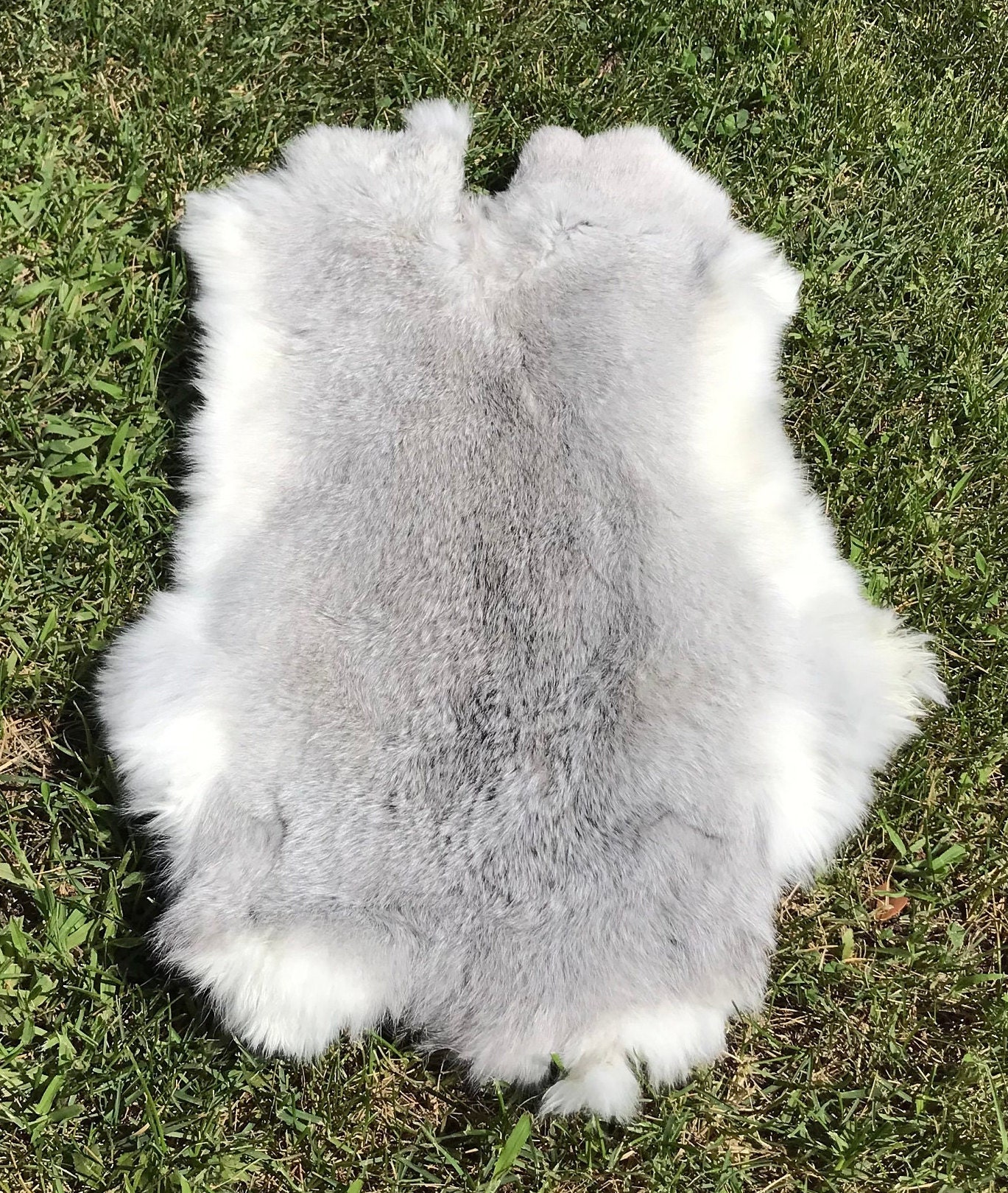 Buy Wild Hare Rabbit Fur Soft Bright Durable Rabbit Skin Genuine Brown ...