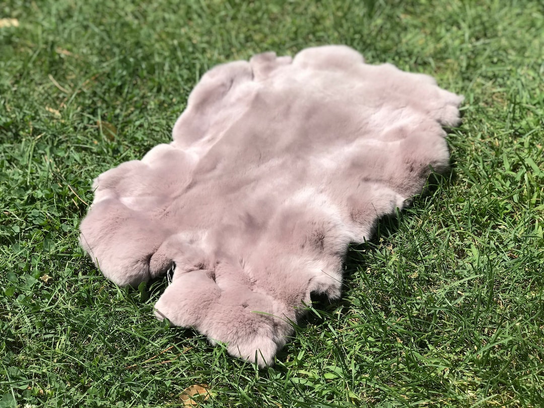 Impressive Powder Pink Rabbit Fur Ethically Sourced Painless Death