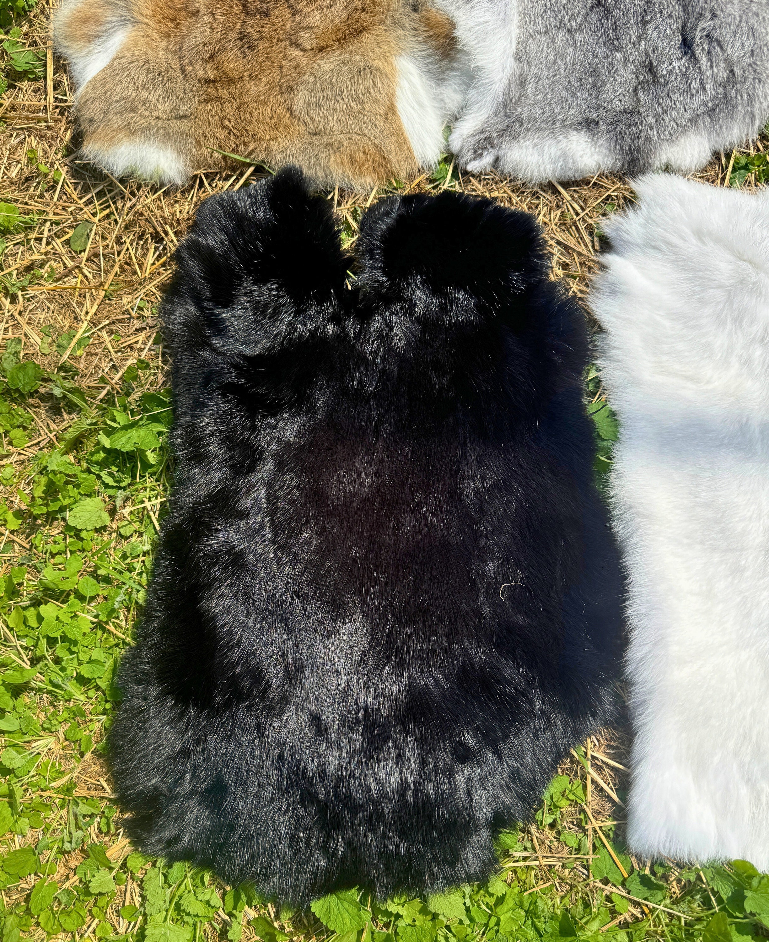 The Rabbit Fur Types Natural Rabbit Furs, Brown Rabbit Pelt, Black Rabbit Hide, Pagan Rabbit ...