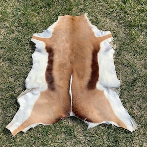 May include: A brown and white animal hide with a distinctive pattern. The hide is laid out on a bed of green grass.