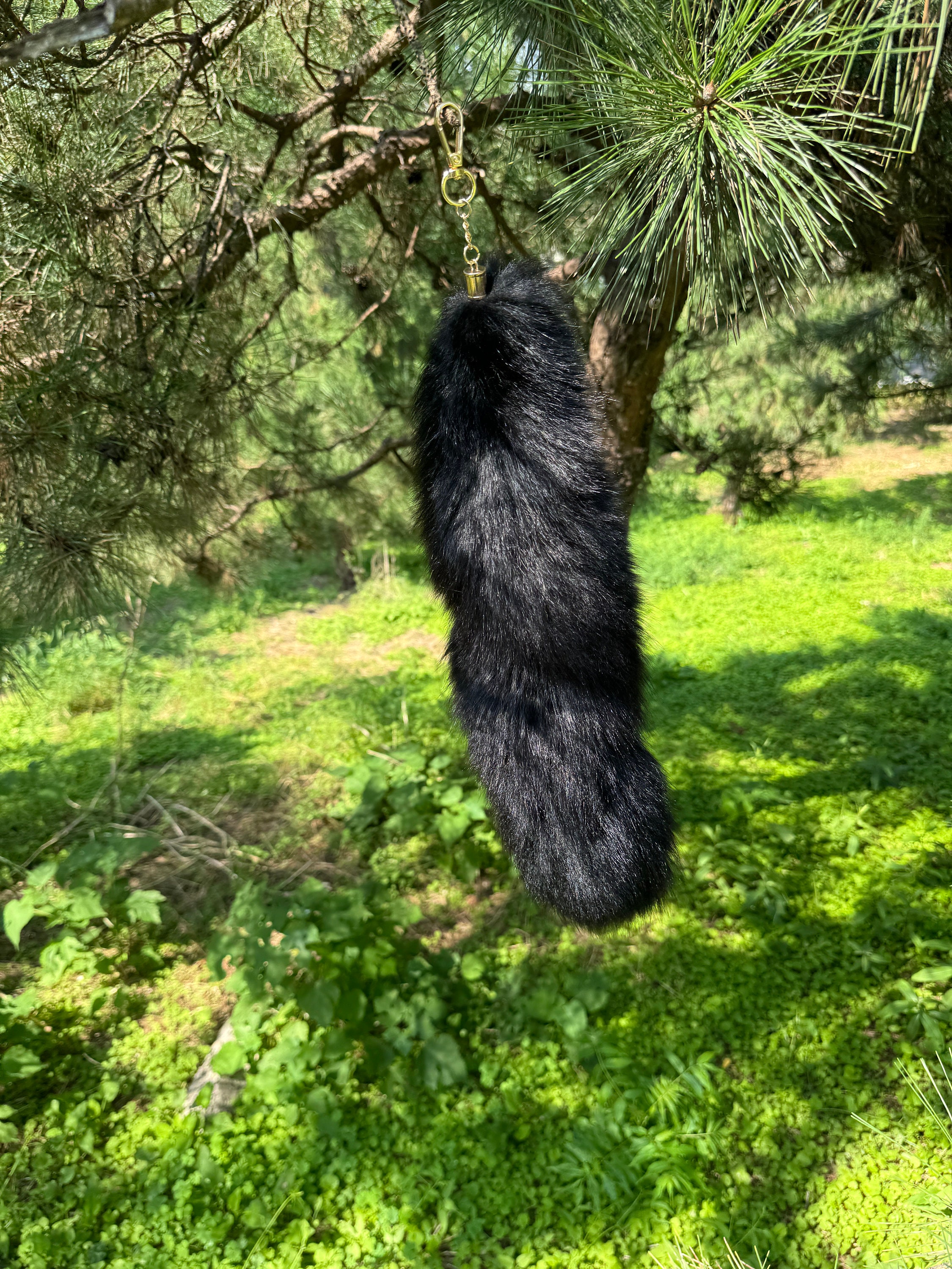 きつねのしっぽ♪ページ 59cf3d855455a92f408d43e55ff0fa