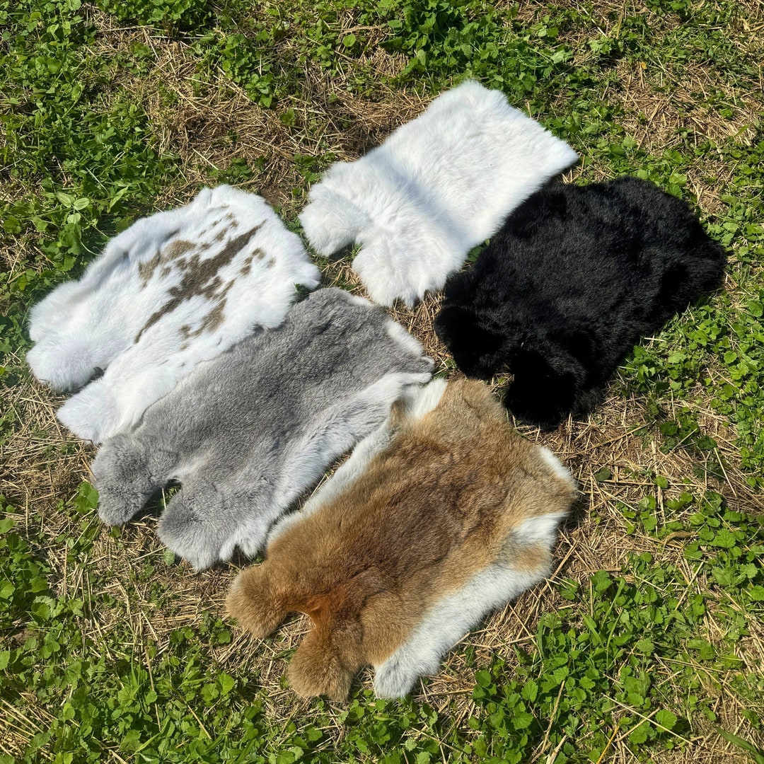 Natural Rabbit Furs, Brown Rabbit Pelt, Black Rabbit Hide, Pagan Rabbit ...